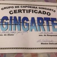 Gingarte Capoeira Chicago ico