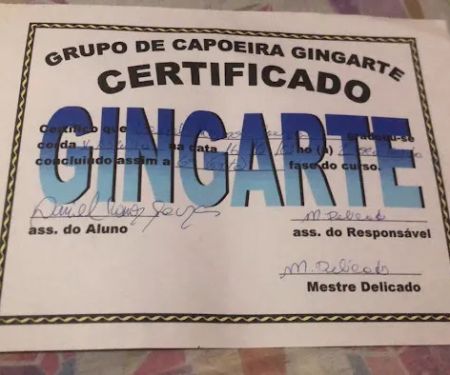 Gingarte Capoeira Chicago