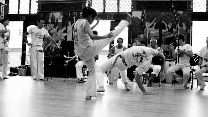 Gingarte Capoeira Chicago Picture 3