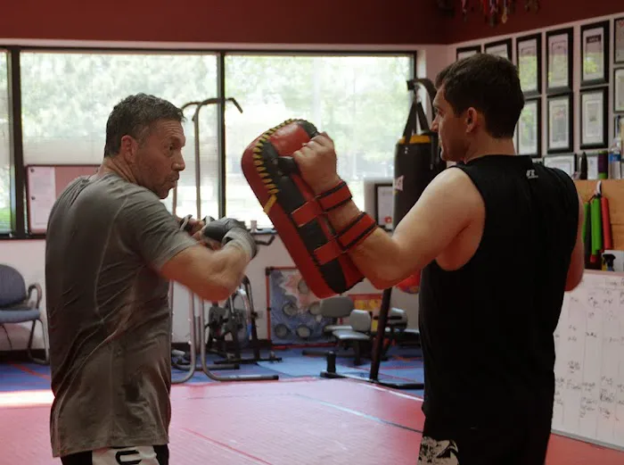 Mikhail Kogan Self-Defense & Martial Arts Picture 6