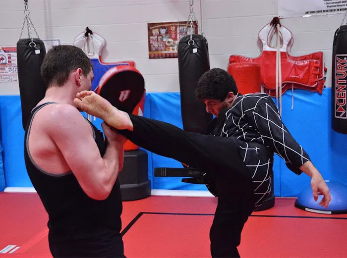 Mikhail Kogan Self-Defense & Martial Arts Picture 9