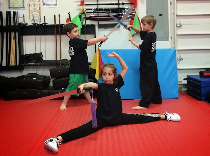 Mikhail Kogan Self-Defense & Martial Arts Picture 8