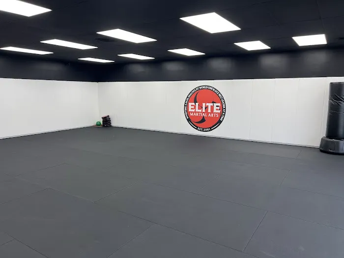 Elite Martial Arts [Hanover] - 🥋 A Leadership Academy Picture 3