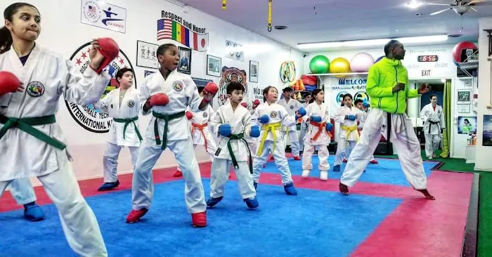 EGN International Karate & Fitness Center (Long Island) Picture 4