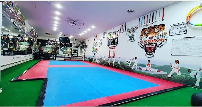 EGN International Karate & Fitness Center (Long Island) Picture 8