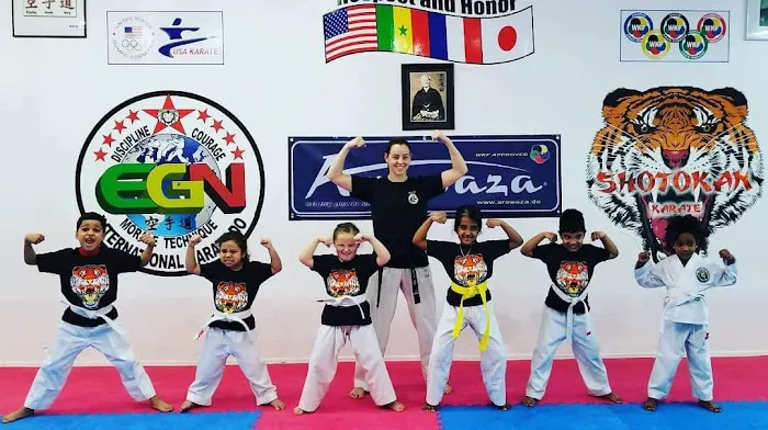 EGN International Karate & Fitness Center (Long Island) Picture 5