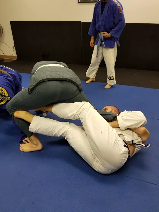 Stay Strong Brazilian Jiu Jitsu Picture 3