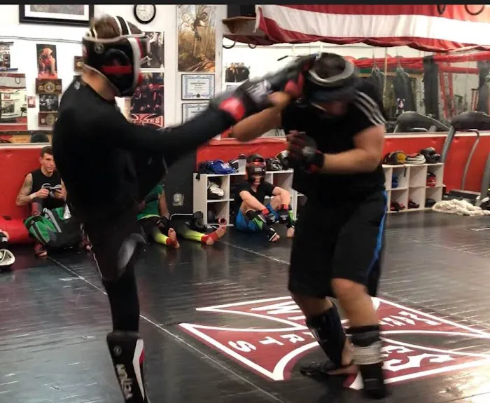 Alex Wilkie's Martial Arts Academy Picture 6