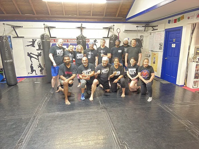 Martial Strength Training Academy Picture 6