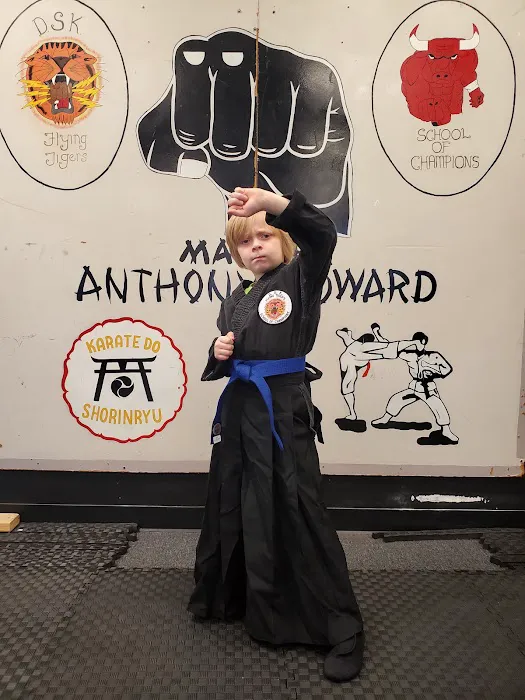 DSK Flying Tiger's Karate School Picture 3