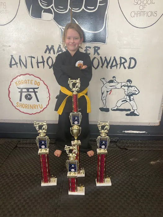 DSK Flying Tiger's Karate School Picture 7