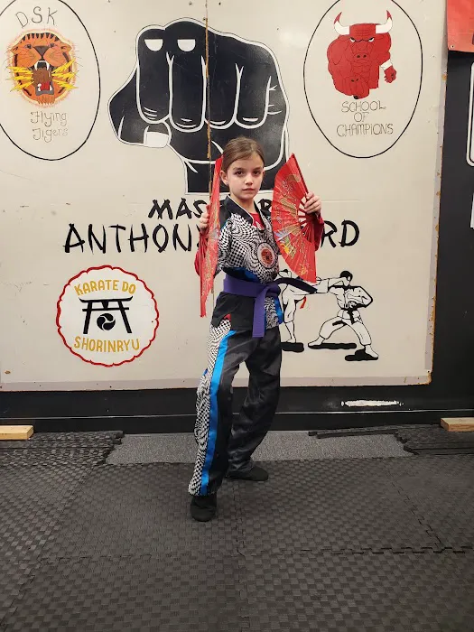 DSK Flying Tiger's Karate School Picture 5