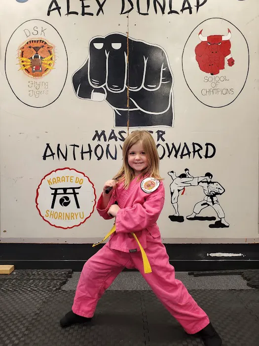 DSK Flying Tiger's Karate School Picture 6