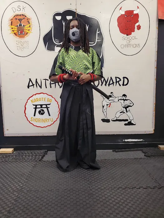 DSK Flying Tiger's Karate School Picture 2