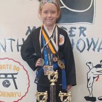 DSK Flying Tiger's Karate School ico