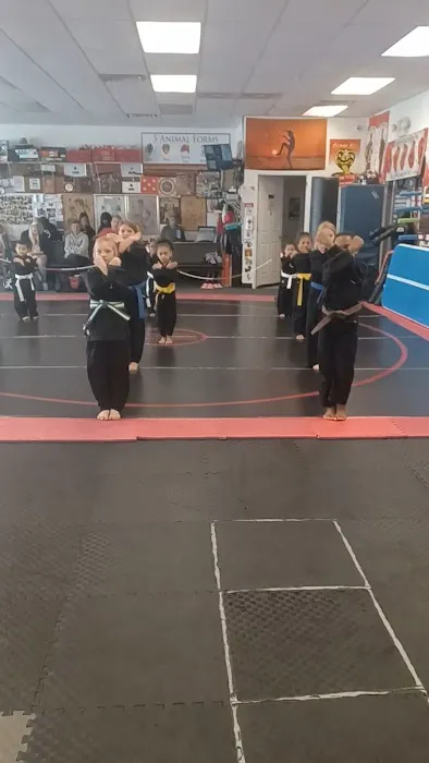 DSK Flying Tiger's Karate School Picture 4