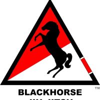 Blackhorse Jiu-Jitsu ico
