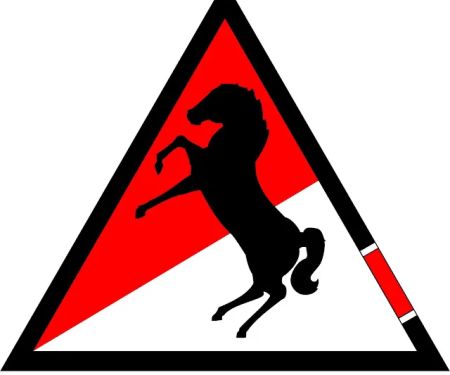 Blackhorse Jiu-Jitsu