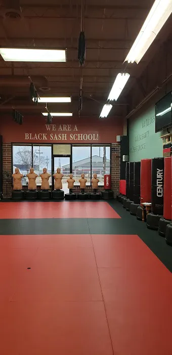 American Academies of Martial Arts Picture 2