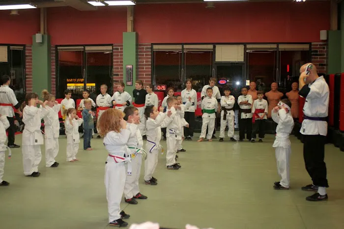 American Academies of Martial Arts Picture 1