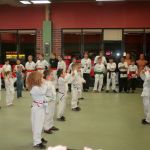 American Academies of Martial Arts