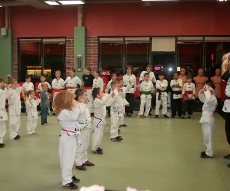 American Academies of Martial Arts