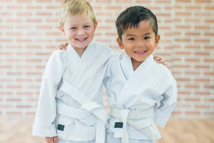 American Academies of Martial Arts Picture 10