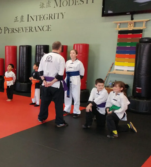 American Academies of Martial Arts Picture 9