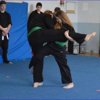 Black Dragon Martial Arts ico