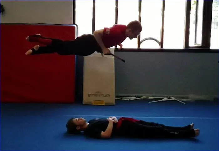 Black Dragon Martial Arts Picture 3