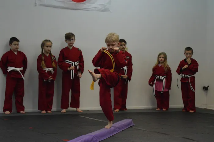 Black Dragon Martial Arts Picture 5