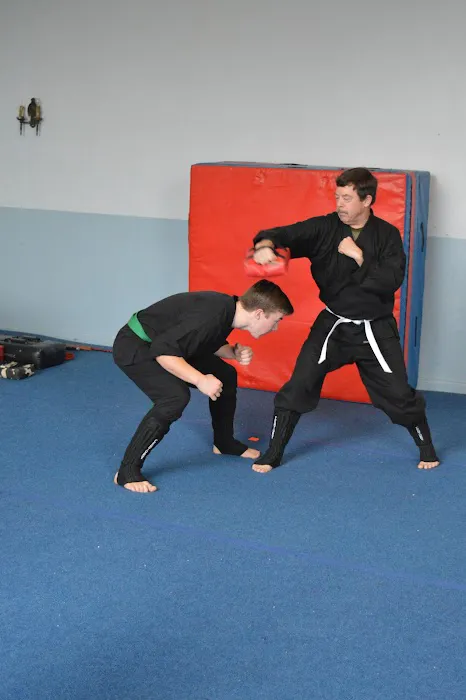 Black Dragon Martial Arts Picture 7
