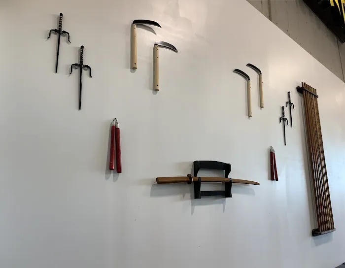 Elite Academy Of Martial Arts Picture 5