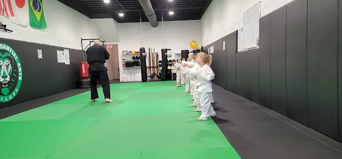 Sovereign Martial Arts Picture 4