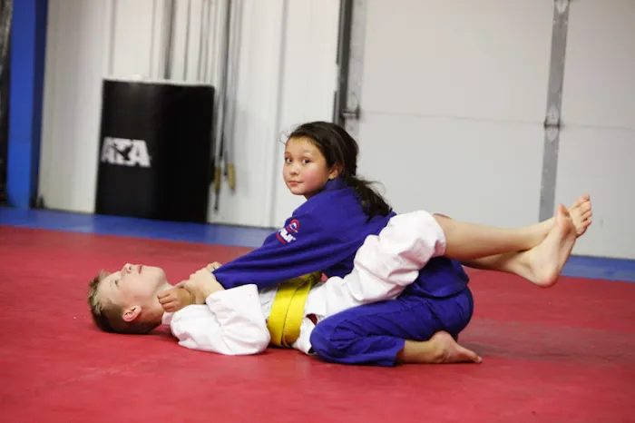 Mid-America Martial Arts (MAMA) Picture 1