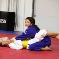 Mid-America Martial Arts (MAMA) ico