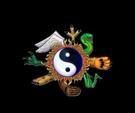 Midwest Chinese Martial Arts Center