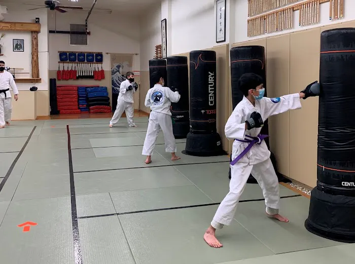 Aikido Self-Defense and Kickboxing Picture 4