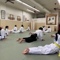 Aikido Self-Defense and Kickboxing ico