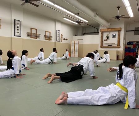 Aikido Self-Defense and Kickboxing