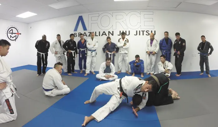 A-Force Brazilian Jiu Jitsu Academy - Great Neck Picture 7