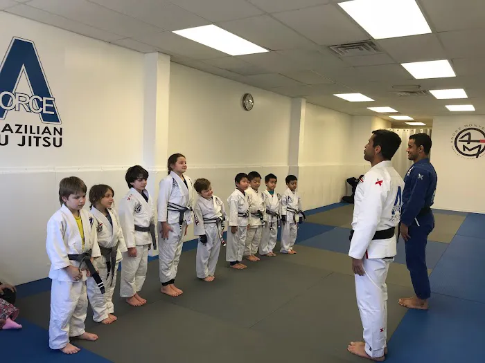 A-Force Brazilian Jiu Jitsu Academy - Great Neck Picture 1