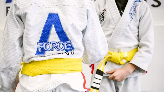 A-Force Brazilian Jiu Jitsu Academy - Great Neck Picture 8