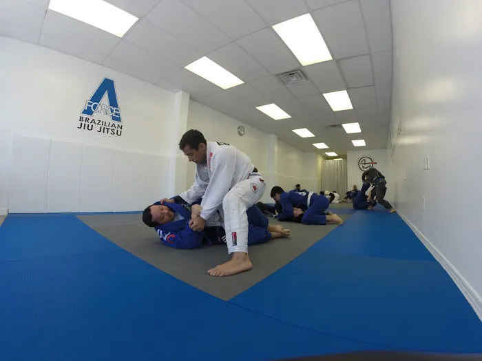 A-Force Brazilian Jiu Jitsu Academy - Great Neck Picture 2