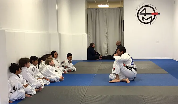 A-Force Brazilian Jiu Jitsu Academy - Great Neck Picture 4