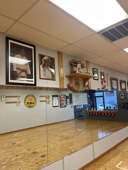 New York Karate Dojo Picture 3