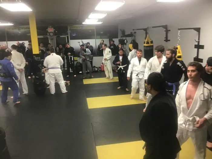 Threshold Martial Arts / Carlson Gracie Jiu-Jitsu Picture 9