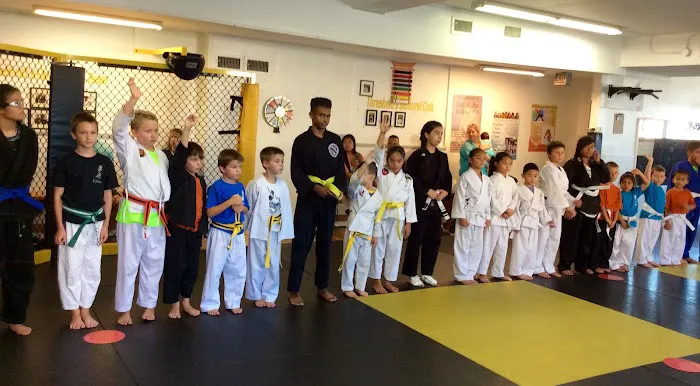 Threshold Martial Arts / Carlson Gracie Jiu-Jitsu Picture 3