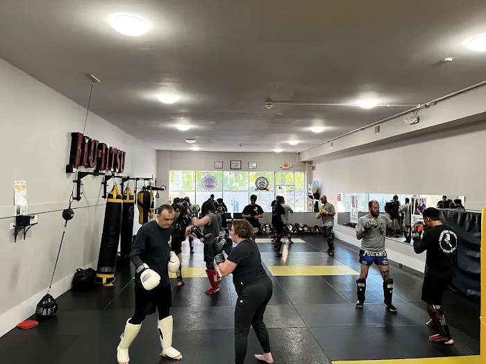 Threshold Martial Arts / Carlson Gracie Jiu-Jitsu Picture 2