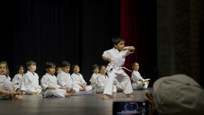 The Dojo - Vickery Village Picture 6